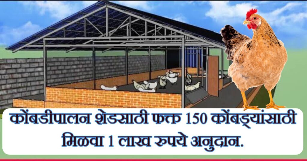 कुक्कुटपालन शेड अनुदान योजना |150 कोंबड्यांच्या शेडसाठी 1 लाख रुपये अनुदान मिळणार.