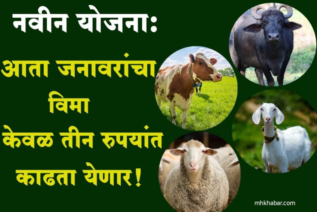 पशु विमा योजना महाराष्ट्र|animal insurance scheme in Maharashtra.